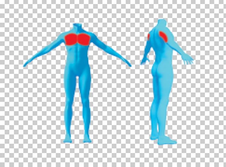 Human Shoulder Muscle Wetsuit Character PNG, Clipart, Arm, Blue, Character, Costume, Electric Blue Free PNG Download