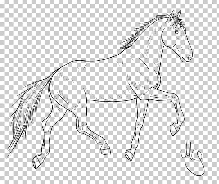 Mane Foal Bridle Mustang Stallion PNG, Clipart, Animal Figure, Artwork, Black And White, Bridle, Colt Free PNG Download