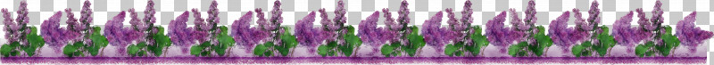 Lavender PNG, Clipart, Floral Line, Flower Background, Flower Border, Green, Lavender Free PNG Download