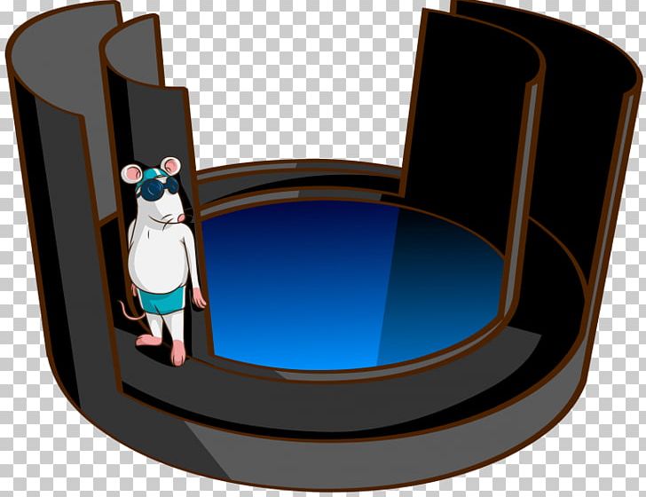 Elevated Plus Maze Rat Water Maze Morris Water Navigation Task PNG, Clipart, Angle, Animals, Anxiety, Avoidance Coping, Behavior Free PNG Download