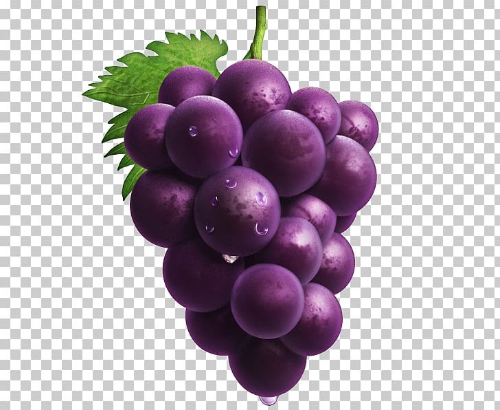 Grape PNG, Clipart, Berry, Download, Drawn, Encapsulated Postscript, Food Free PNG Download
