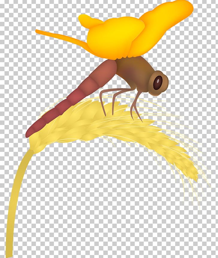 Insect PNG, Clipart, Animal, Animation, Bird, Cartoon, Cartoon Character Free PNG Download