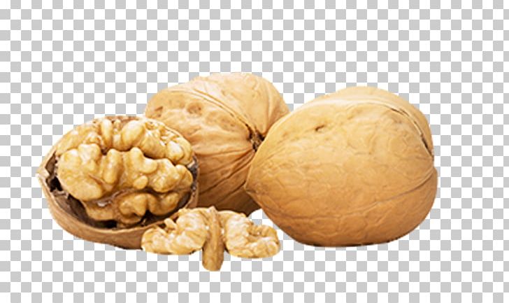 Walnut Food Fruit PNG, Clipart, Auglis, Download, Dried, Dried Fruit, Euclidean Vector Free PNG Download