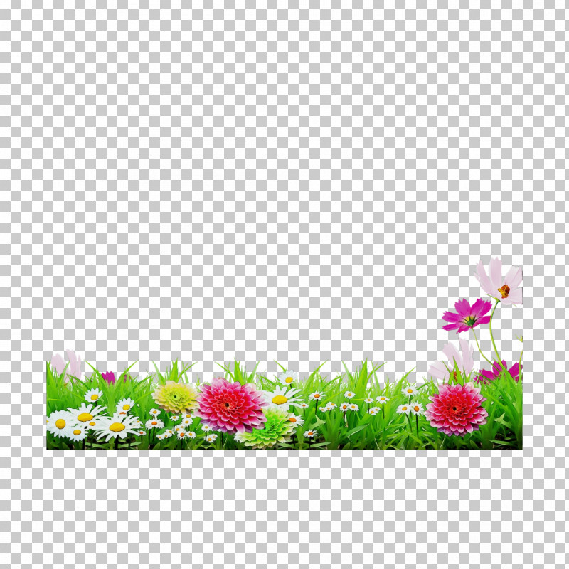 Floral Design PNG, Clipart, Annual Plant, Computer, Flora, Floral Design, Flower Free PNG Download