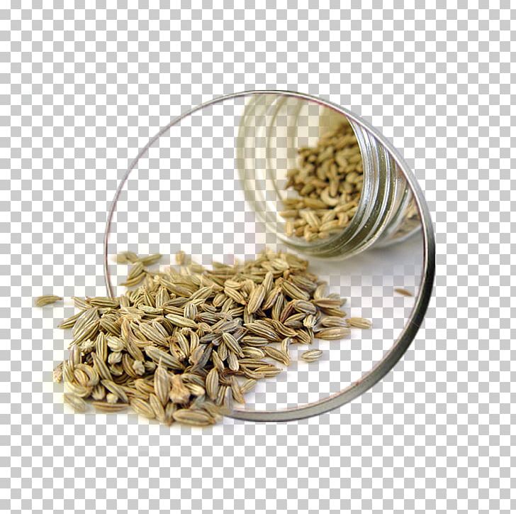 Fennel Herb Seed Indian Cuisine Fenugreek PNG, Clipart, Ajwain, Apiaceae, Asafoetida, Bloating, Commodity Free PNG Download
