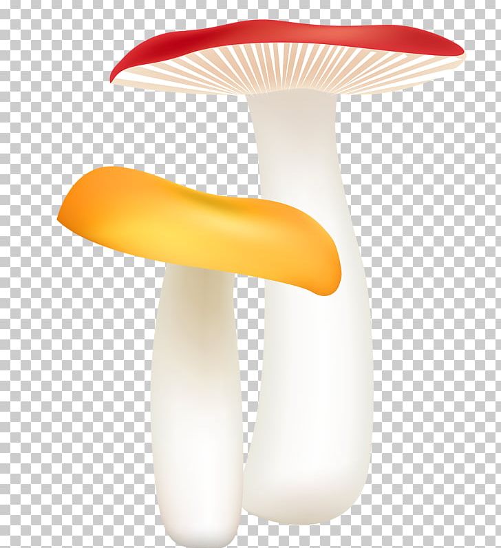 Mushroom Drawing Euclidean PNG, Clipart, Adobe Illustrator, Decorated, Dots Per Inch, Download, Encapsulated Postscript Free PNG Download