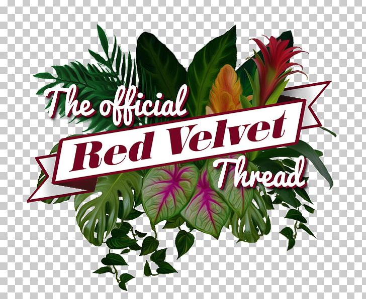 Red Velvet Happiness K-pop Red Flavor Bad Boy PNG, Clipart, Bad Boy, Flavor, Flower, Flowering Plant, Happiness Free PNG Download