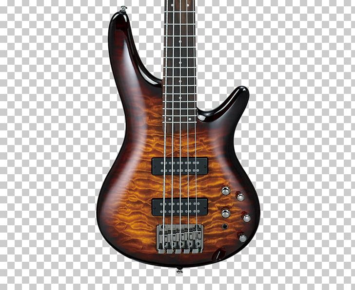 Bass Guitar Ibanez String Instruments PNG, Clipart, Aco, Acoustic Bass Guitar, Bass, Bass Guitar, Bassist Free PNG Download