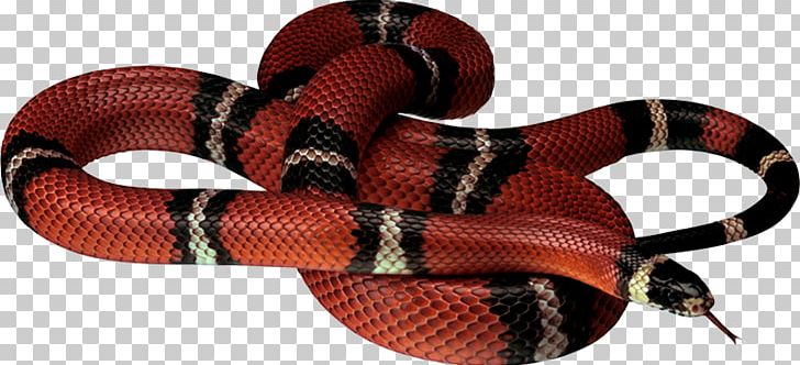 Corn Snake King Cobra Reptile PNG, Clipart, Abstract Pattern, Bars, Black Rat Snake, Brown, Color Free PNG Download