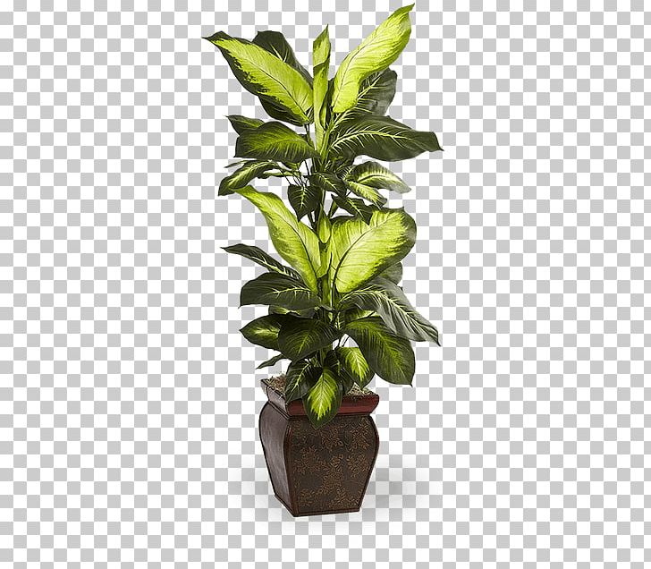 Leaf Swiss Cheese Plant Flowerpot Houseplant PNG, Clipart, Arecaceae, Dumb Canes, Evergreen, Floor, Flowerpot Free PNG Download