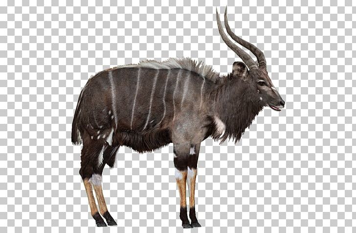 Zoo Tycoon 2 Wildebeest Antelope Nyala Wiki PNG, Clipart, Animal, Antelope, Cattle Like Mammal, Computer Software, Cow Goat Family Free PNG Download
