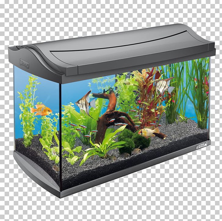 Aquarium Filters Tetra Tropical Aquarium Liter PNG, Clipart, Aquarium, Aquarium Decor, Aquarium Filters, Aquarium Lighting, Aquatic Plant Free PNG Download