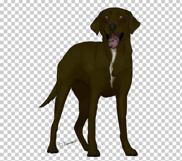 Labrador Retriever Vizsla Puppy Dog Breed PNG, Clipart, Animals, Carnivoran, Cartoon, Depositphotos, Dog Free PNG Download