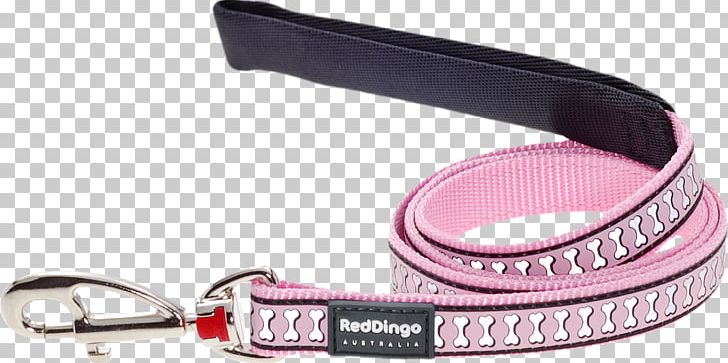 Leash Dog Collar Dingo Pet PNG, Clipart, Animals, Cat, Collar, Dingo, Dog Free PNG Download