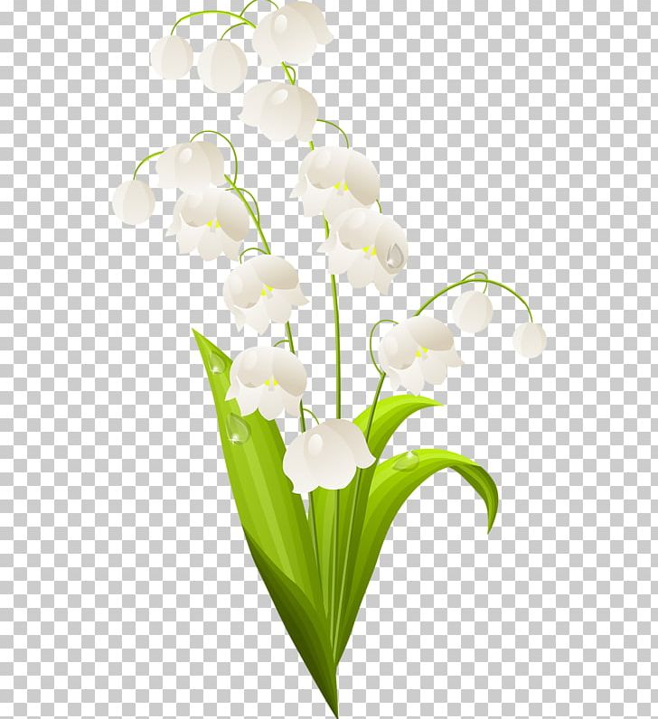 Lily Of The Valley Stock Photography PNG, Clipart, Branch, Calla Lily, Cartoon, Drawing, Floral Design Free PNG Download