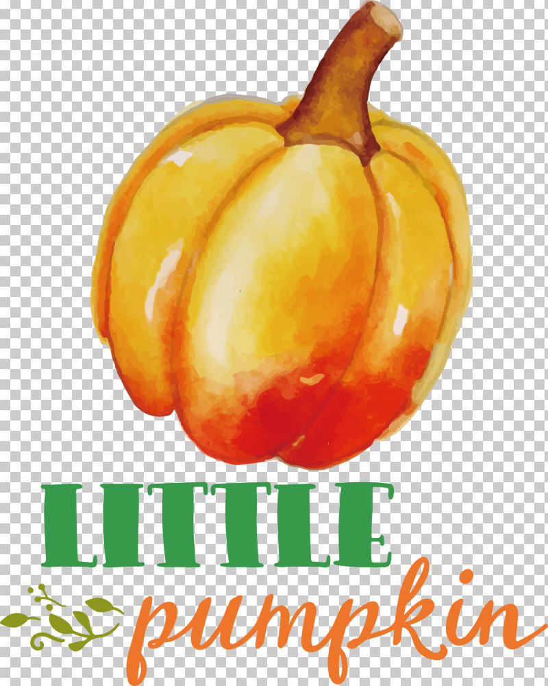 Little Pumpkin Thanksgiving Autumn PNG, Clipart, Autumn, Chili Pepper, Fruit, Habanero, Little Pumpkin Free PNG Download