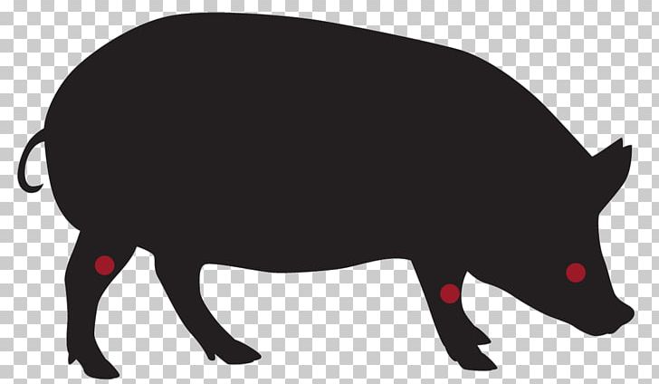 Domestic Pig Hot Dog PNG, Clipart, Animal, Cdr, Domestic Pig, Fauna, Food Free PNG Download