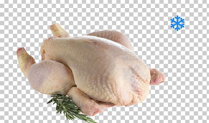 Roast Chicken Chicken As Food Poultry Broiler PNG, Clipart, Animals, Animal Source Foods, Boucherie, Broiler, Chicken Free PNG Download