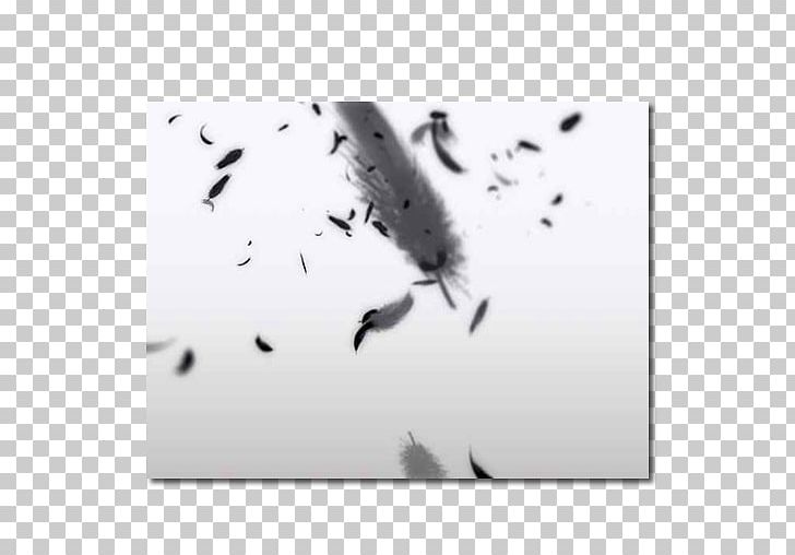 White Feather Bird Desktop PNG, Clipart, Android, Animals, Bird, Black And White, Com Free PNG Download