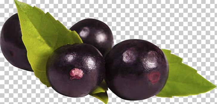 Açaí Na Tigela Açaí Palm Berry Juice Amazon Rainforest PNG, Clipart, Acai Berry, Acai Na Tigela, Acai Palm, Amazon Rainforest, Anthocyanin Free PNG Download