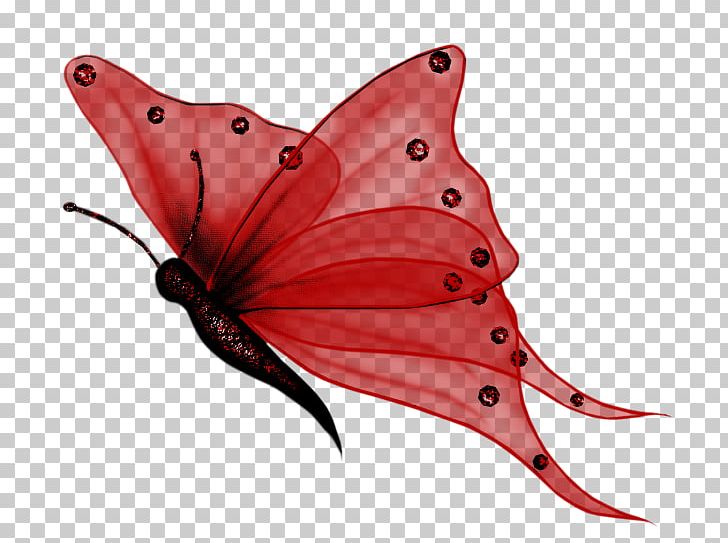 Butterfly Desktop PNG, Clipart, Arthropod, Brush Footed Butterfly, Butterfly, Clip Art, Color Free PNG Download