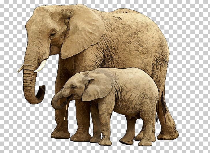 Elephant Child Stock Photography PNG, Clipart, African Elephant, Animals, Child, Elephant, Elephants Free PNG Download