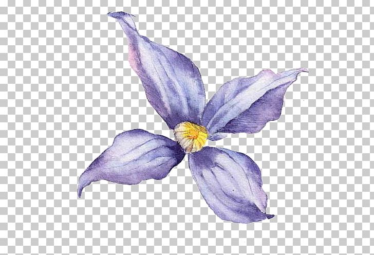 Flower Vecteur PNG, Clipart, Art, Blue, Coreldraw, Crocus, Download Free PNG Download