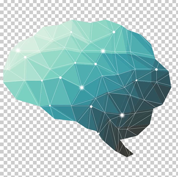 Brain Thought Neuroscientist Neuroscience Nervous System PNG, Clipart, Aqua, Brain, Green, Lateralization Of Brain Function, Leaf Free PNG Download