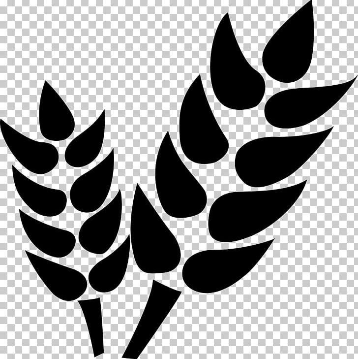 Computer Icons Computer Software PNG, Clipart, Agricultural, Agriculture, Artwork, Black And White, Branch Free PNG Download