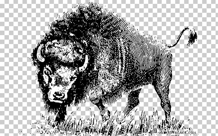 American Bison Graphics Open PNG, Clipart, Animal, Art, Big Cats, Bison, Black And White Free PNG Download