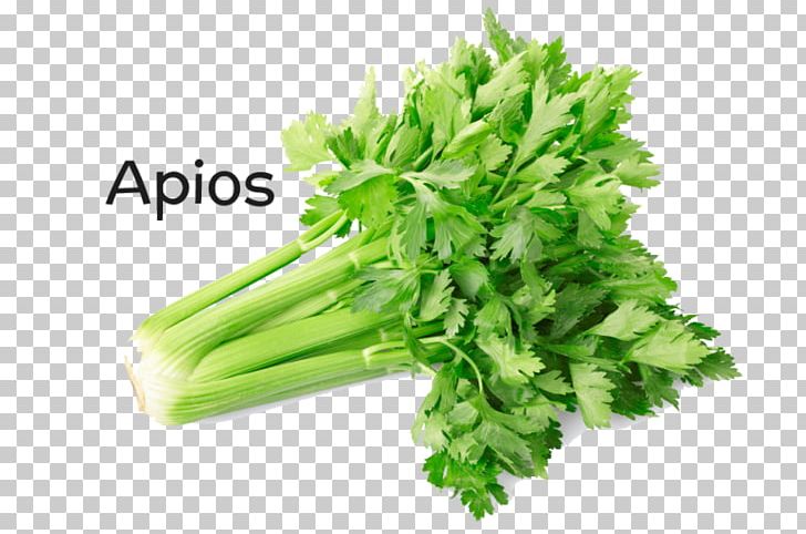 Celery Vegetable Stock Photography Health PNG, Clipart, Celery, Coriander, Food, Food Drinks, Fruit Free PNG Download