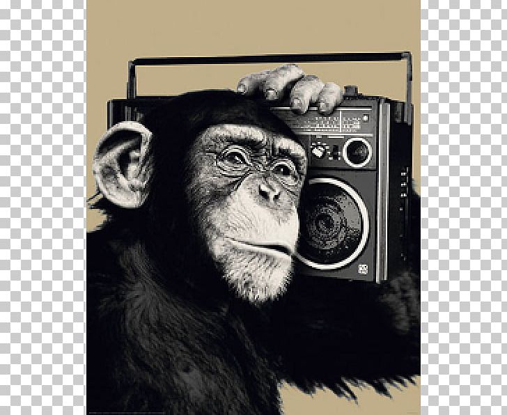 Chimpanzee Poster Monkey Primate PNG, Clipart, Animals, Art, Art Print, Boombox, Canvas Free PNG Download