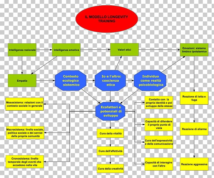 Emotional Intelligence Psychology Psychologist Biocentrism PNG, Clipart, Afectividad, Angle, Area, Behavioral Neuroscience, Biocentrism Free PNG Download