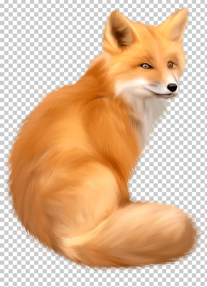 American Red Fox PNG, Clipart, Animals, Awesome, Canidae, Carnivoran, Cats Free PNG Download