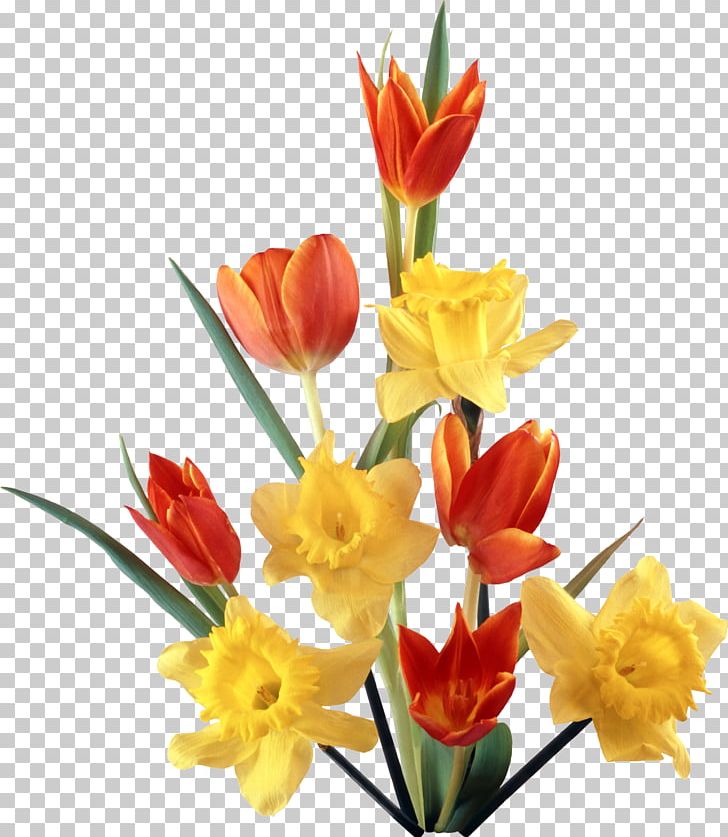 Birthday Flower Bouquet Holiday PNG, Clipart, Birthday, Bud, Cut Flowers, Daffodil, Daytime Free PNG Download