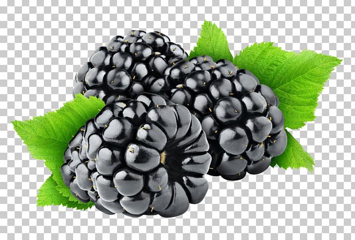 Blackberry Fruit PNG, Clipart, Berry, Bilberry, Blackberry, Blackberry Png, Boysenberry Free PNG Download