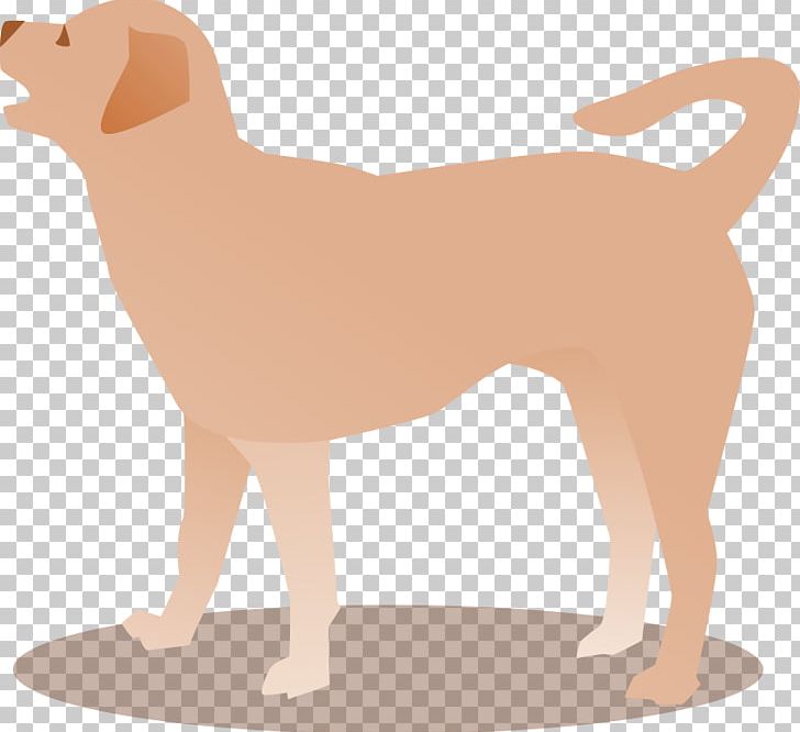 Dog Breed Puppy Sporting Group Companion Dog Retriever PNG, Clipart, Animals, Bark, Canidae, Carnivoran, Companion Dog Free PNG Download