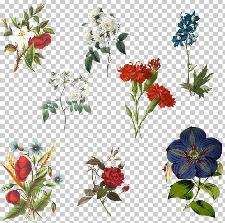 Floral Design Flower Artist PNG, Clipart, Annual Plant, Art, Artist, Cut Flowers, Deviantart Free PNG Download