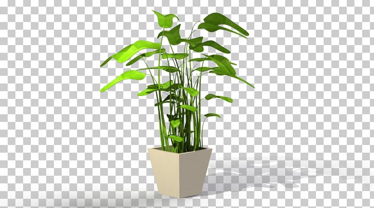 Houseplant Flowerpot Tree PNG, Clipart, 3d Computer Graphics, Bonsai, Flowerpot, Food Drinks, Garden Free PNG Download