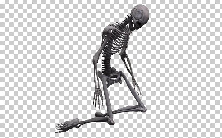Skeleton Rendering PNG, Clipart, 3d Computer Graphics, 3d Rendering, Arm, Art, Black And White Free PNG Download