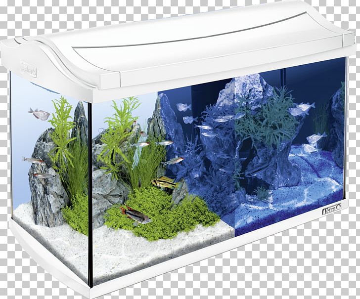 Tetra Light-emitting Diode LED Lamp Aquarium Innenfilter PNG, Clipart, Akwarystyka Morska, Aquarium, Aquarium Decor, Aquarium Lighting, Aquariums Free PNG Download