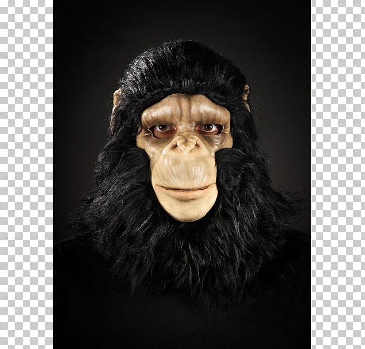 Common Chimpanzee Gorilla Monkey Mask Snout PNG, Clipart, Animals, Chimpanzee, Common Chimpanzee, Fur, Gorilla Free PNG Download