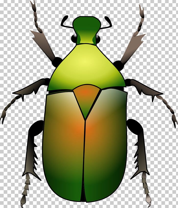 Beetle Weevil PNG, Clipart, Animals, Arthropod, Artwork, Autocad Dxf, Beetle Free PNG Download
