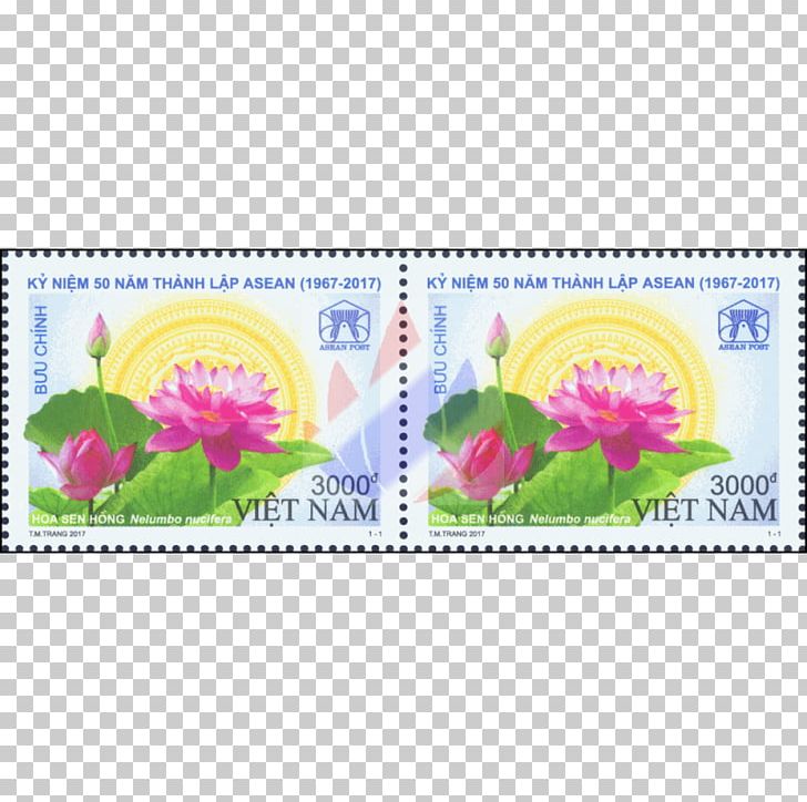 Burma Nelumbo Nucifera Association Of Southeast Asian Nations Philippines Indonesia PNG, Clipart,  Free PNG Download