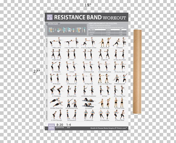Exercise Bands Physical Fitness Bodyweight Exercise Strength Training PNG, Clipart, Angle, Band, Bodyweight Exercise, Brand, Dumbbell Free PNG Download