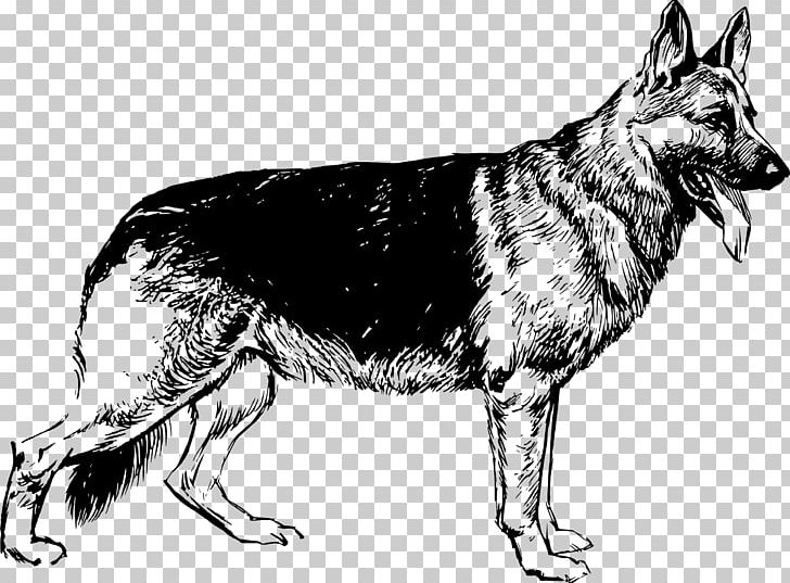 German Shepherd Puppy Drawing PNG, Clipart, American Kennel Club, Animal, Animals, Carnivoran, Dog Breed Free PNG Download