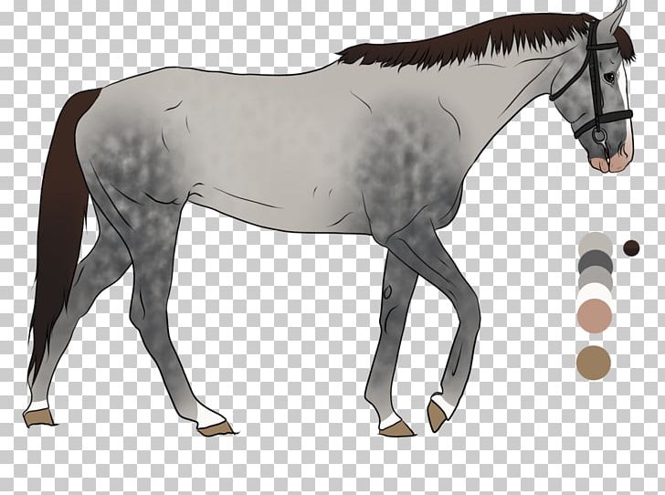 Mane Mustang Foal Stallion Mare PNG, Clipart, Animal Figure, Bit, Bridle, Colt, Foal Free PNG Download