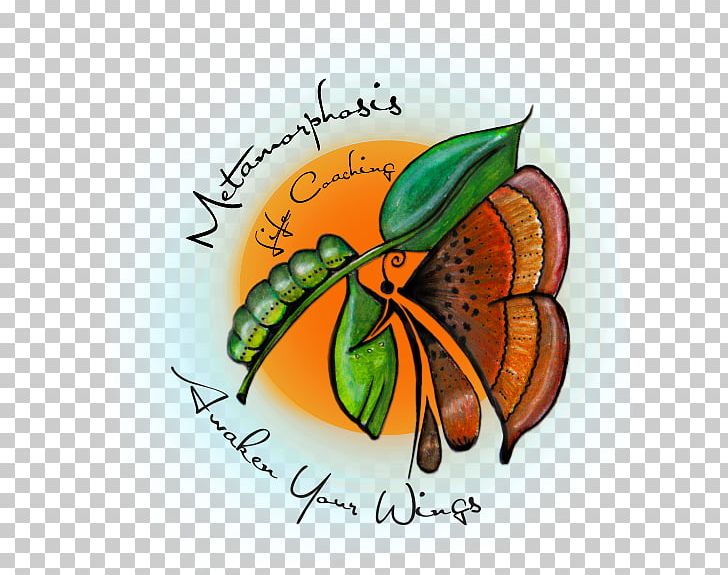 Naboomspruit PNG, Clipart, Butterfly, Clay, Coach, Coaching, Food Free PNG Download