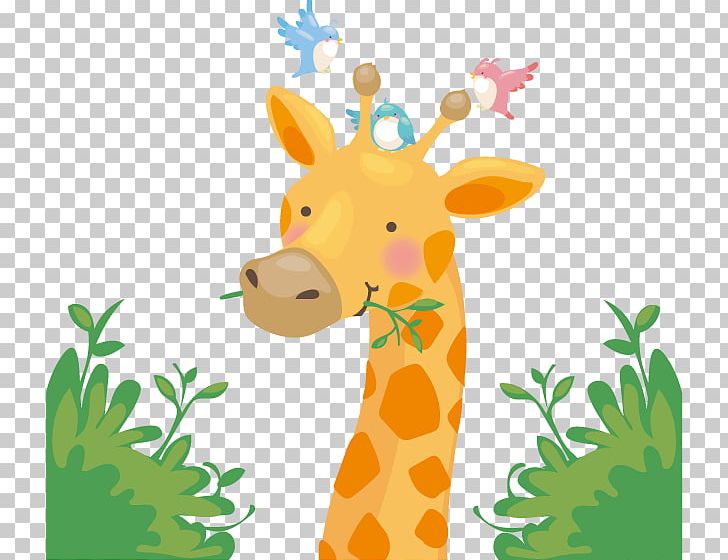 Giraffe PNG, Clipart, Animal, Animals, Bird, Cartoon, Cartoon Giraffe Free PNG Download