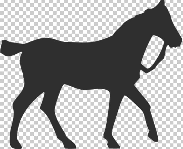 Horse Silhouette Equestrian Pet PNG, Clipart, Animal, Animals, Black And White, Bridle, Colt Free PNG Download